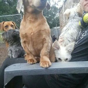 Meet your Posher, Brooke